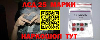 СК Балашиха