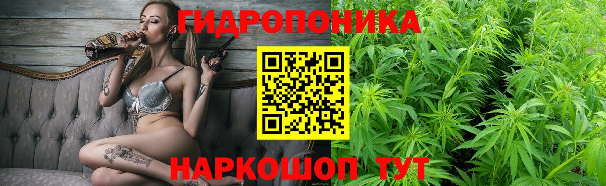 Канабис планчик Гусиноозёрск